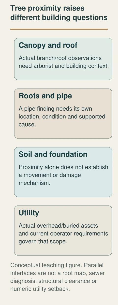 Branches beside a roof, roots beside a pipe, soil beside a foundation and nearby utilities raise different questions. The figure assigns each interface its own evidence and provider scope rather than treating proximity as a cause.
